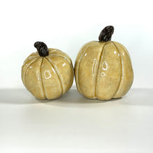 Load image into Gallery viewer, holiday pumpkins
