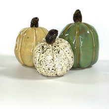 Load image into Gallery viewer, holiday pumpkins