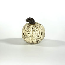 Load image into Gallery viewer, holiday pumpkins