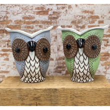 Load image into Gallery viewer, Handcrafted Owl Planter