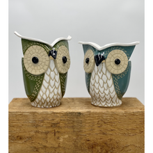Load image into Gallery viewer, Handcrafted Owl Planter